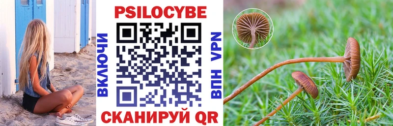 Галлюциногенные грибы Cubensis  как найти закладки  Мамадыш 